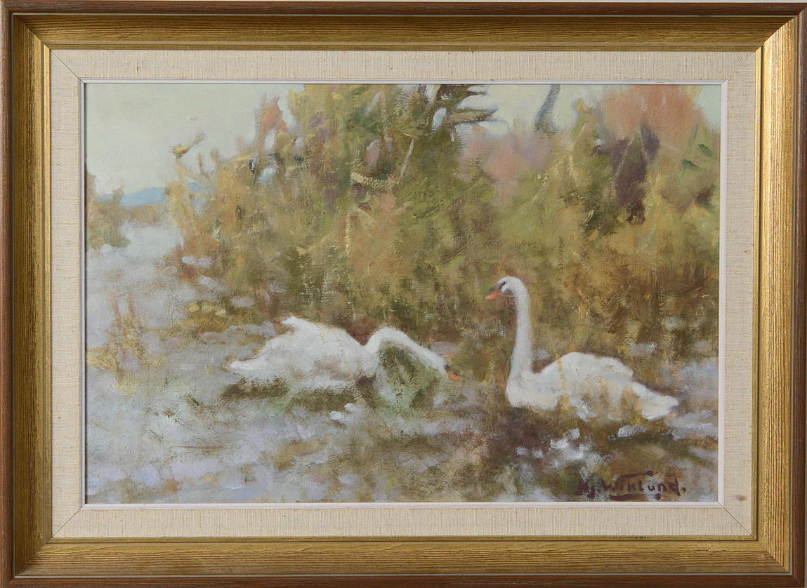 Swans on the water