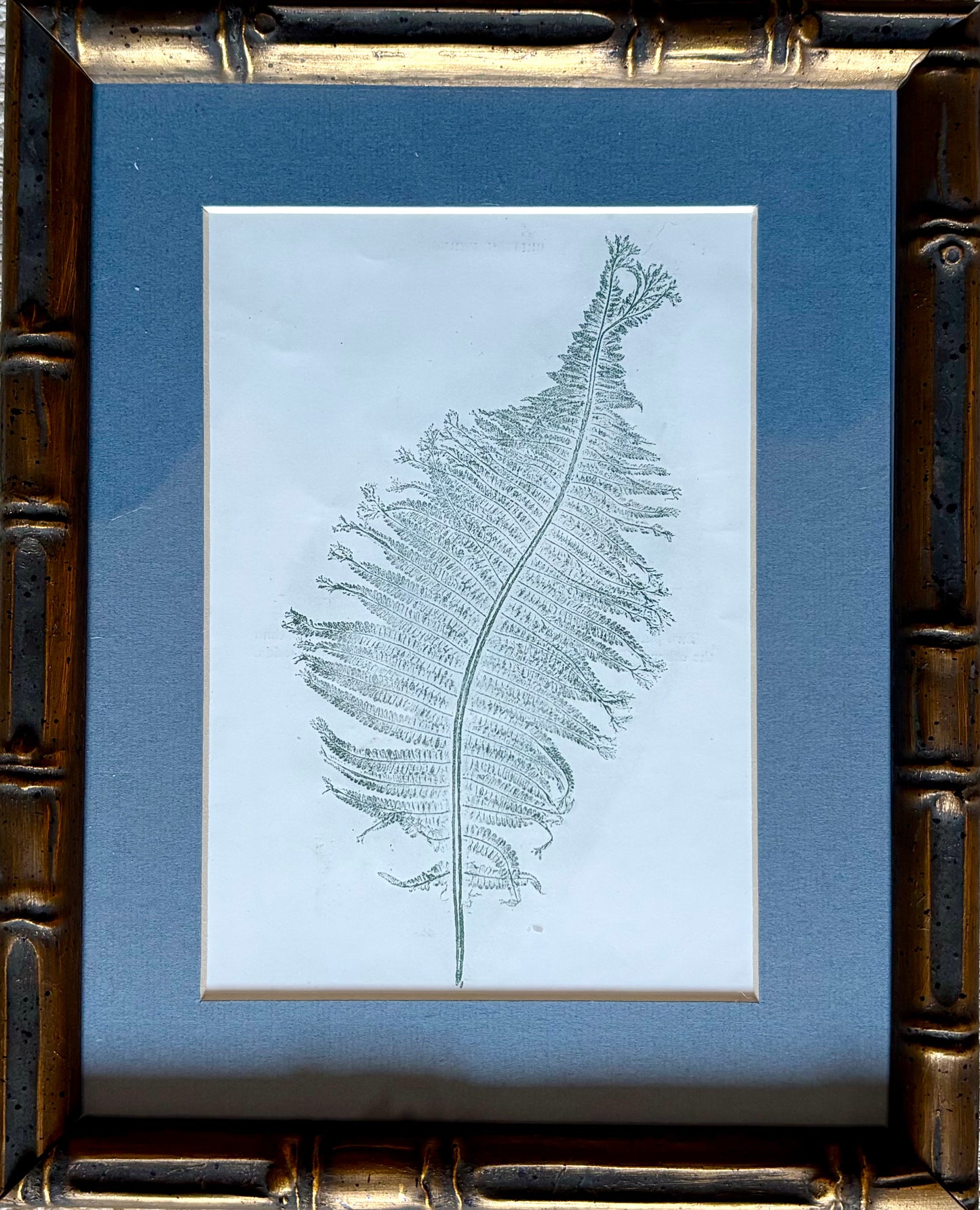 Set of 3 fern prints