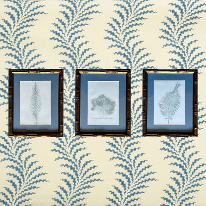 Set of 3 fern prints